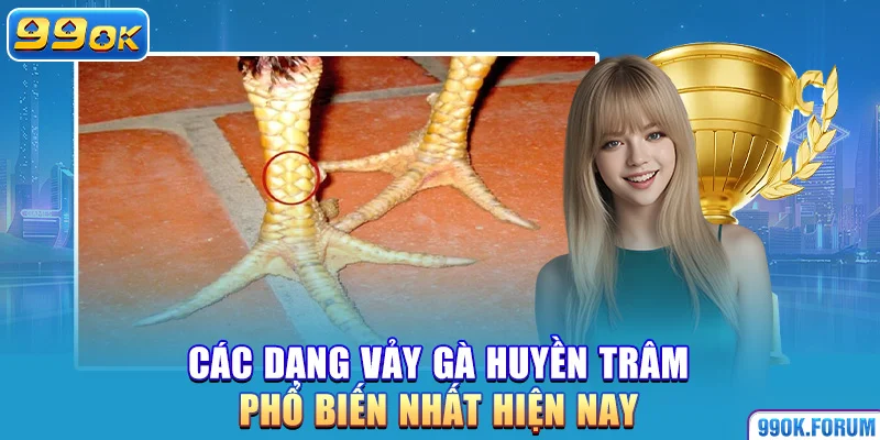 Các dạng vảy gà huyền trâm phổ biến nhất hiện nay