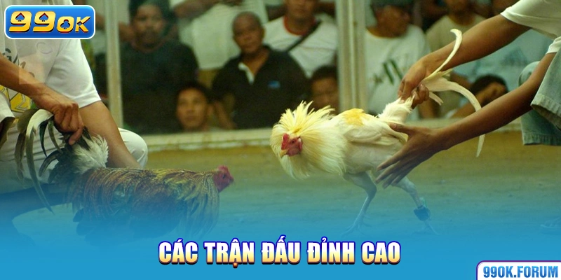 Các trận đấu đỉnh cao