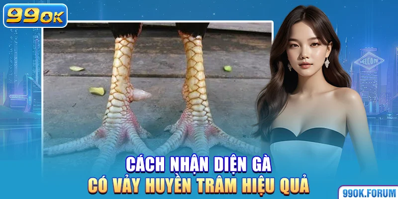 Cách nhận diện gà có vảy huyền trâm hiệu quả