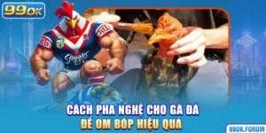 Cách Pha Nghệ Cho Gà Đá Để Om Bóp Hiệu Quả