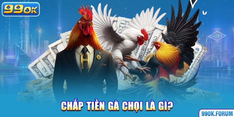 Chấp tiền gà chọi là gì?