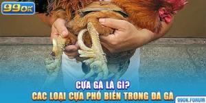 Cựa Gà Là Gì? Các Loại Cựa Phổ Biến Trong Đá Gà
