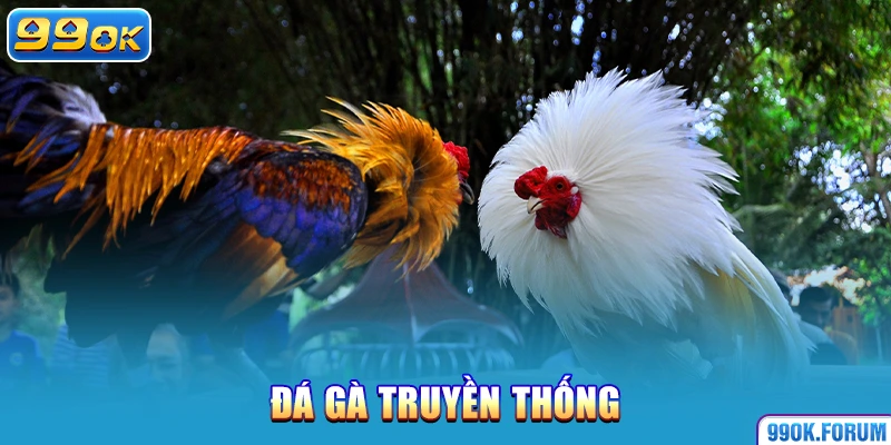 Đá gà truyền thống