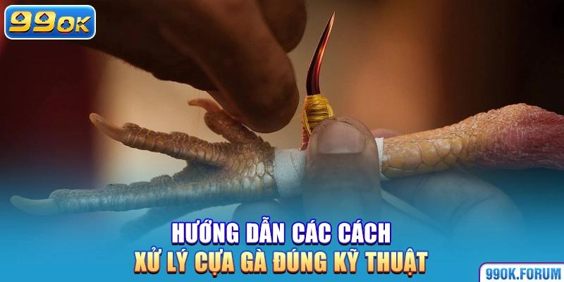 Hướng dẫn các cách xử lý cựa gà đúng kỹ thuật