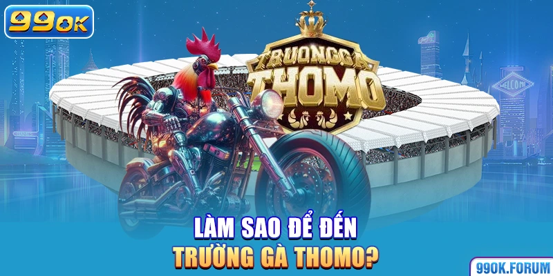 Trường gà Thomo ở đâu? Làm sao để đến trường gà Thomo?