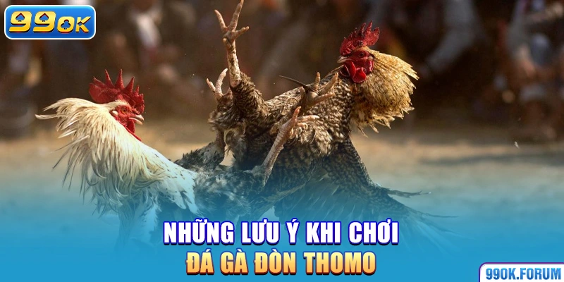 Những lưu ý khi chơi đá gà đòn Thomo