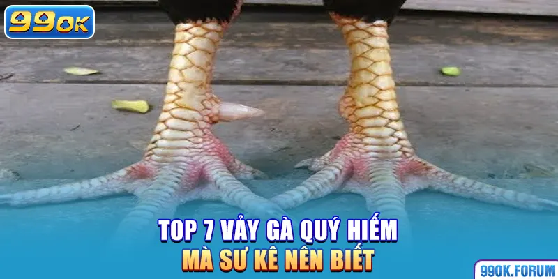 Top 7 vảy gà quý hiếm mà sư kê nên biết
