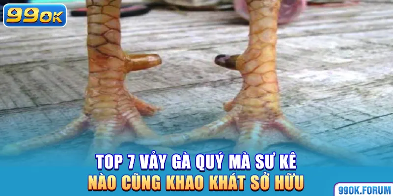 Top 7 Vảy Gà Quý Mà Sư Kê Nào Cũng Khao Khát Sở Hữu