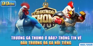 Trường gà Thomo thu hút những ai tham gia?
