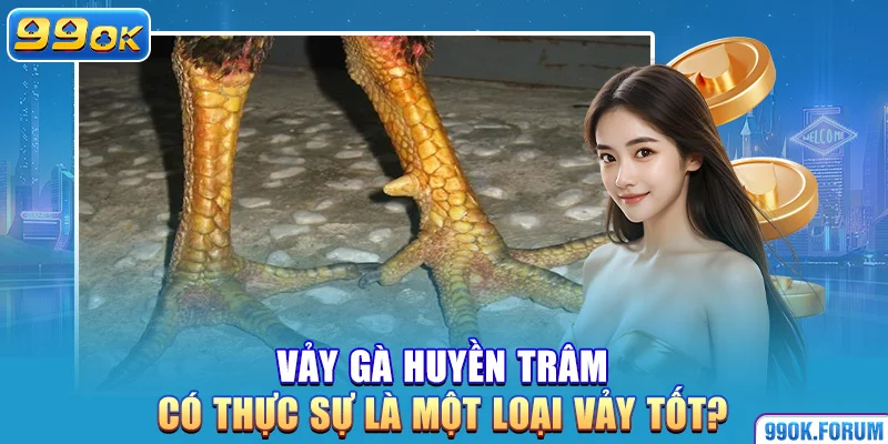 Vảy gà huyền trâm có thực sự là một loại vảy tốt?