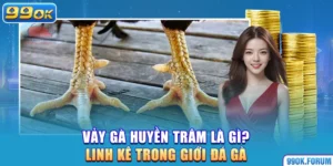 Vảy Gà Huyền Trâm Là Gì? Linh Kê Trong Giới Đá Gà