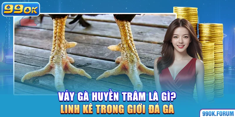 Vảy Gà Huyền Trâm Là Gì? Linh Kê Trong Giới Đá Gà