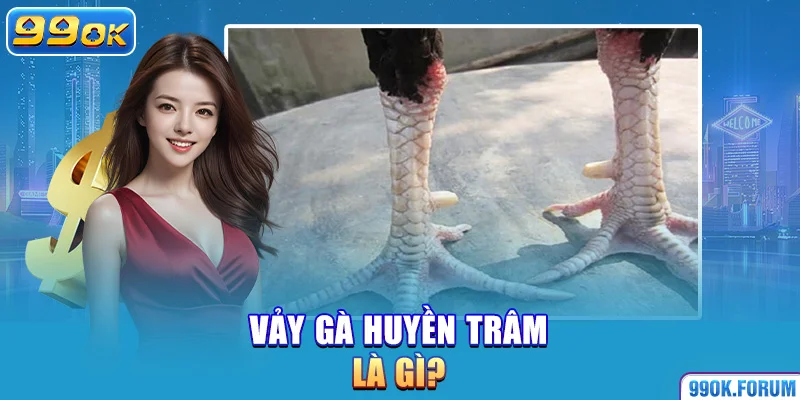 Vảy gà huyền trâm là gì?