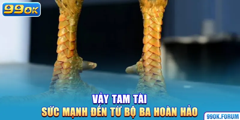 Vảy tam tài – Sức mạnh đến từ bộ ba hoàn hảo
