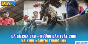 Đá Gà Cựa Dao – Hướng Dẫn Luật Chơi Và Kinh Nghiệm Thắng Lớn