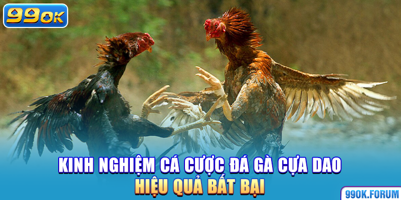 Kinh nghiệm cá cược đá gà bằng cựa dao hiệu quả bất bại