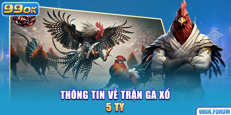 Thông tin về trận gà xổ 5 tỷ