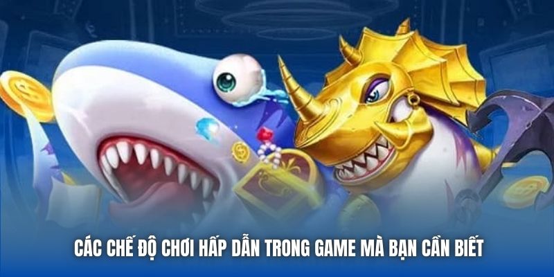 Các chế độ chơi hấp dẫn trong game mà bạn cần biết