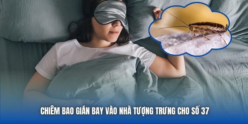 Chiêm bao gián bay vào nhà tượng trưng cho số 37
