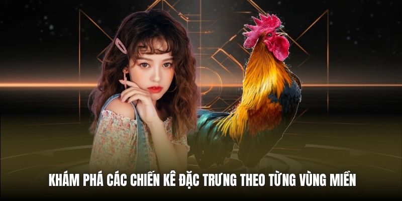 Khám phá các chiến kê đặc trưng theo từng vùng miền