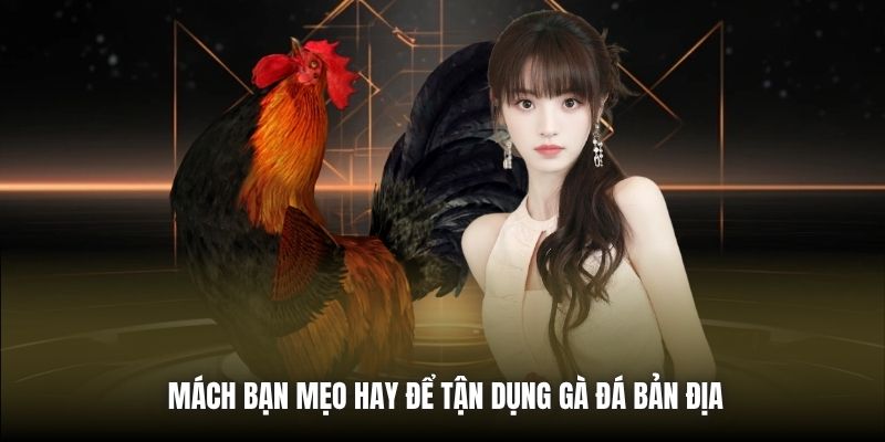 Mách bạn mẹo hay để tận dụng gà đá bản địa