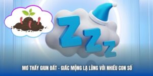 Mơ Thấy Giun Đất - Giấc Mộng Lạ Lùng Với Nhiều Con Số