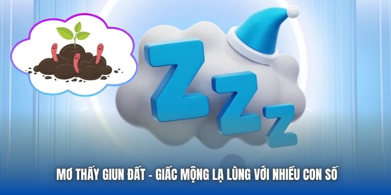 Mơ Thấy Giun Đất - Giấc Mộng Lạ Lùng Với Nhiều Con Số
